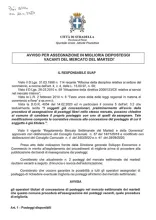 Avviso per assegnazione in miglioria dei posteggi vacanti del mercato del martedì