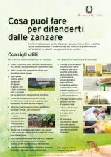 Cosa puoi fare per difendersi dalle zanzare 